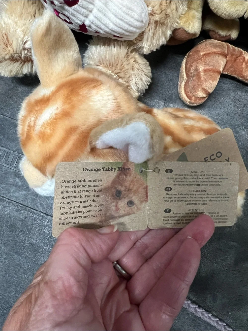Plush Pet Toy Bundle - Assorted Colors Soft Small Pets